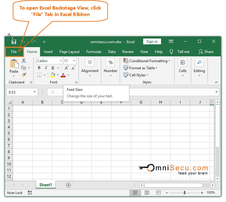 where is the info tab in excel for mac